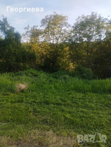 Продавам къща , снимка 15 - Къщи - 40669046