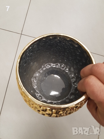 Саксии, снимка 4 - Други - 36062021