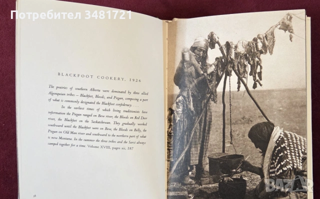 Визуална история на индианското семейство / Edward S. Curtis - Native Family, снимка 6 - Енциклопедии, справочници - 53749107