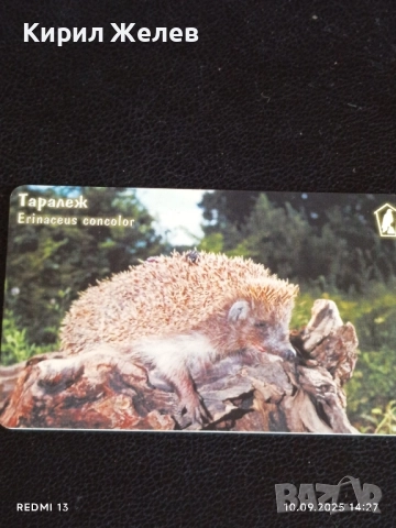 Три фонокарти тема ЖИВОТНИ ТАРАЛЕЖ, БУХАЛ,ЖАБА за КОЛЕКЦИЯ 42295, снимка 7 - Колекции - 51666463