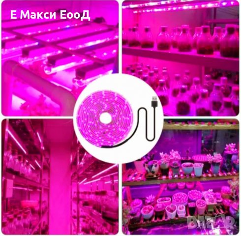 Фито лед Лента,Фито лампа,лампа за разсад
