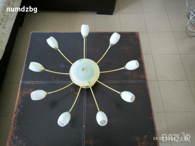 различни видове полилеи, снимка 9 - Полилеи - 44149964