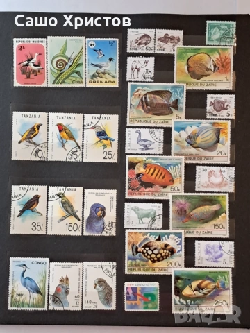 Пощенски марки тема ”Животни”., снимка 9 - Филателия - 53539491