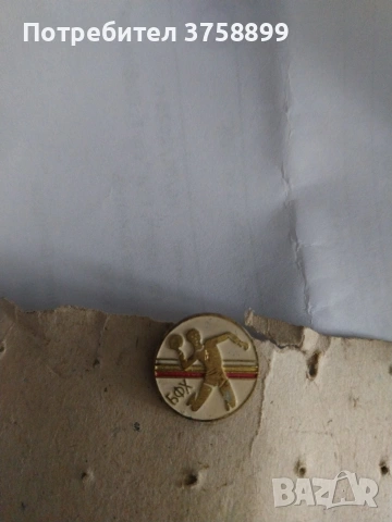 значка в евро .