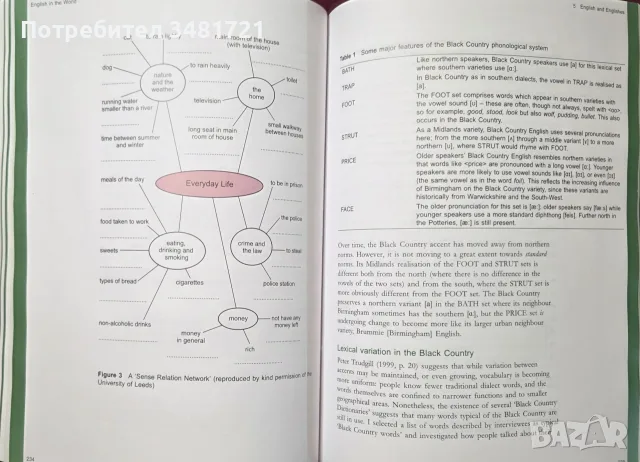 English in the World. History, Diversity, Change, снимка 11 - История, политика и общество - 56301441