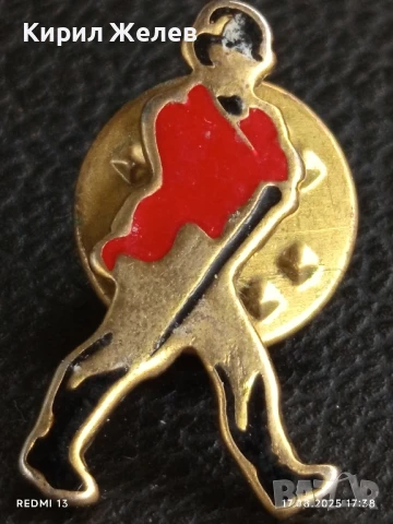 Рядка значка много красива интересна стара за КОЛЕКЦИЯ ДЕКОРАЦИЯ 35129, снимка 4 - Колекции - 51394296