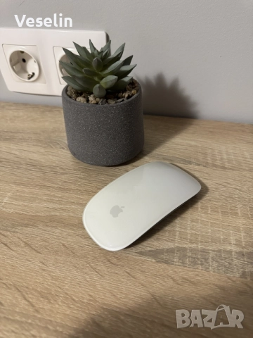 Apple Magic Mouse 