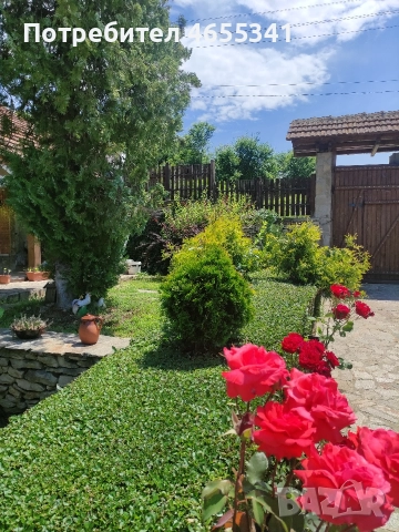 Продавам уникален имот , снимка 5 - Къщи - 52704717