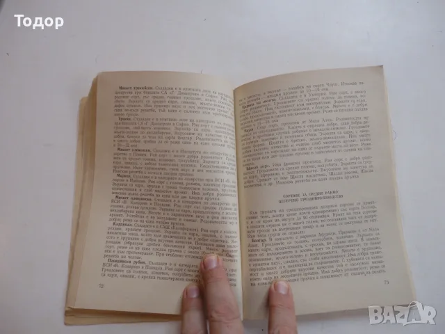 Книга Практическо ръководство по лозарство Ников, снимка 4 - Специализирана литература - 56254042