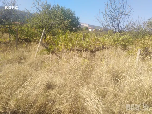 Собственик продава в Брестник парцел 5400кв.м., снимка 2 - Парцели - 47781827