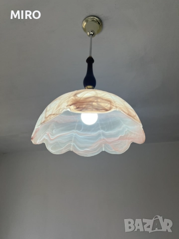 Полилей внос от Холандия, снимка 2 - Полилеи - 52500764