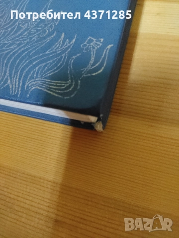 българско-руски илюстрован речник и граматика в илюстрации, снимка 5 - Чуждоезиково обучение, речници - 51947374