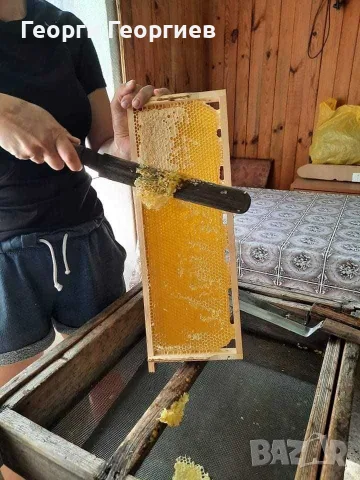 Домашен пчелен мед, снимка 2 - Пчелни продукти - 55805124