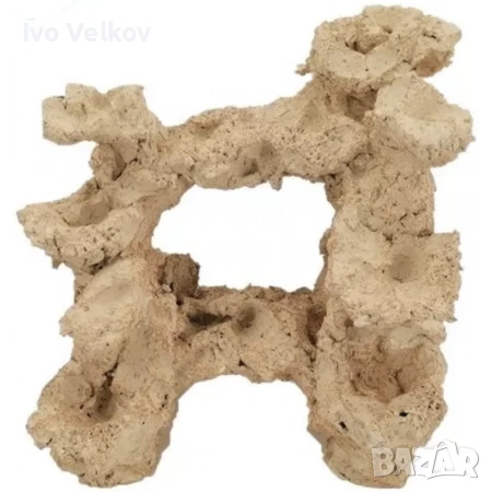 Скейп!(Aquaroch), снимка 2 - Рибки - 53587566