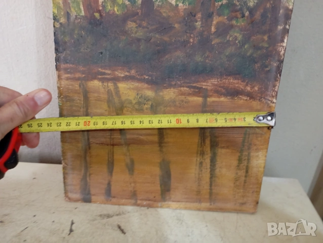 Картина - пейзаж, снимка 3 - Картини - 53752950