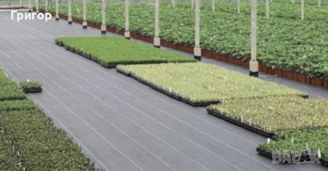 На едро и дребно!!! Мрежа срещу плевели - зебло., снимка 3 - Други - 44445259