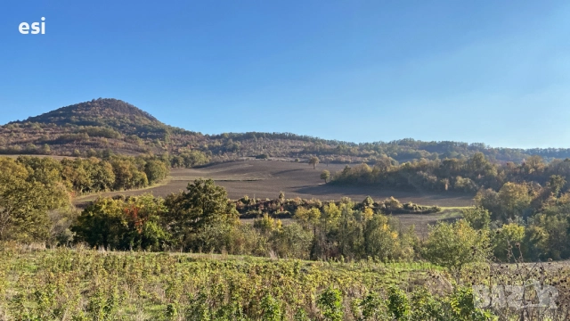 50 ДЕКАРА ЗЕМЕДЕЛСКА ЗЕМЯ област Варна, общ. Дългопол - 100 ЛВ/рента - Авансово Платена, снимка 3 - Земеделска земя - 52128235