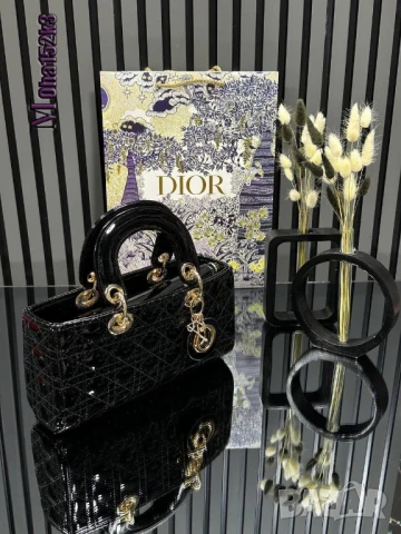 чанти christian dior 25/12см
, снимка 13 - Чанти - 50963329