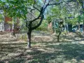 Парцел 530 кв.м сред борова гора, на 25 км от Боровец и 40 км от София, снимка 9