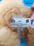 Интерактивно плюшено коте Daisy FurReal Friends Hasbro , снимка 2