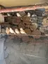 Зеброви амадини Финки ,валнисти папагали , снимка 4
