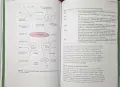 English in the World. History, Diversity, Change, снимка 11