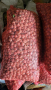 Продавам Арпаджикова балучка, снимка 1 - Сортови семена и луковици - 44733827