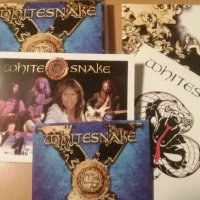 Whitesnake - Good To Be Bad (Limited Edition Box Set (2008) (Card Box, Bonus CD), снимка 2 - CD дискове - 42346250
