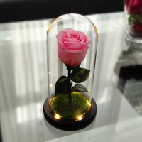 Вечна естествена роза в стъкленица, снимка 11 - Декорация за дома - 27657211
