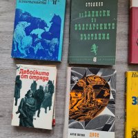 ЛОТ от 10 книги за 10лв, снимка 2 - Художествена литература - 40071479