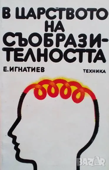 В царството на съобразителността Емелян Игнатиев, снимка 1