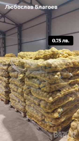 Картофи за консумация, снимка 1