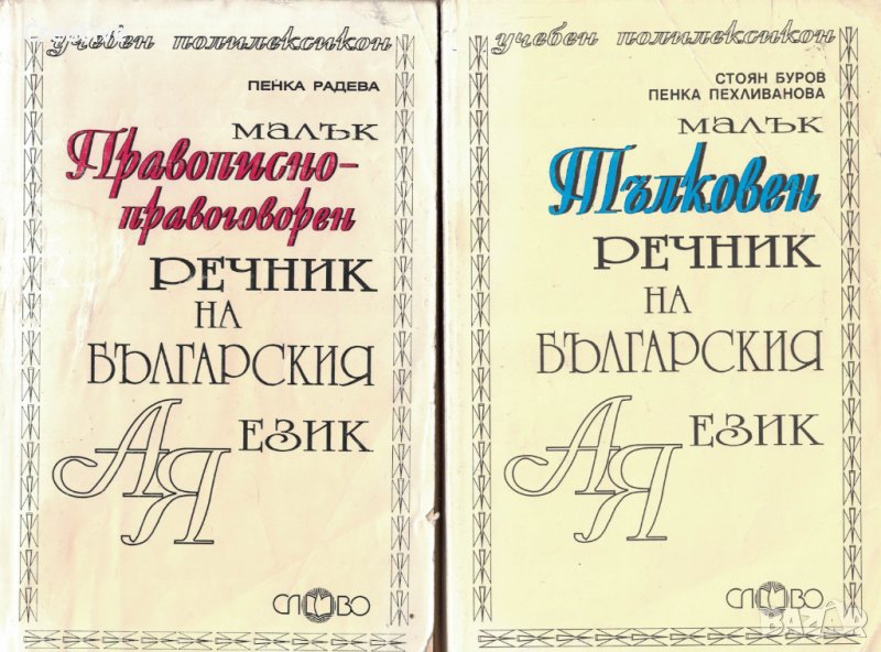Малък тълковен речник и Малък правописно-правоговорен речник на Българския език (Комплект), снимка 1