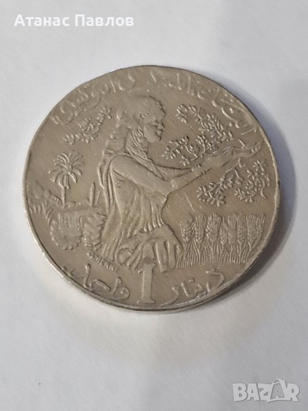 1 Динар Тунис 2013 г., снимка 1