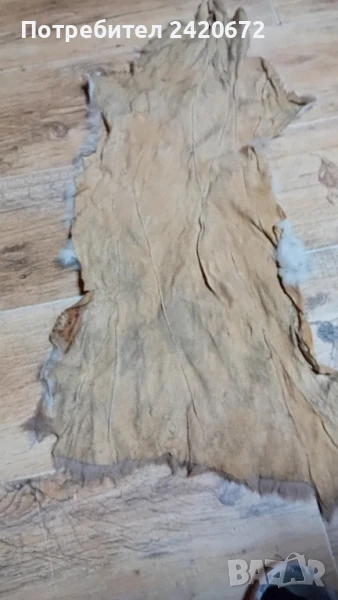 еленова кожа, снимка 1