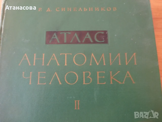 Атлас Анатомия на човека том 2 Синелников, снимка 2 - Енциклопедии, справочници - 50787735