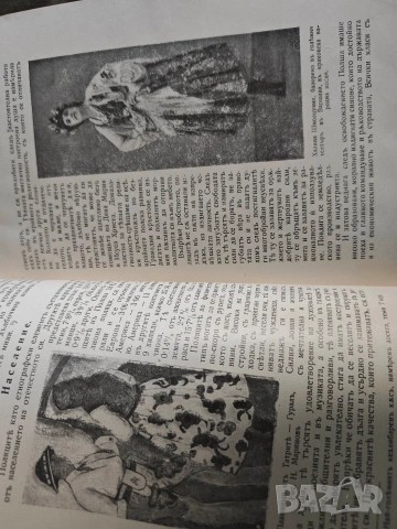 Полша - Александра Монеджикова , снимка 2 - Специализирана литература - 53639203