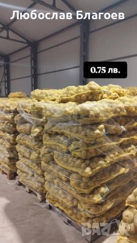 Картофи за консумация