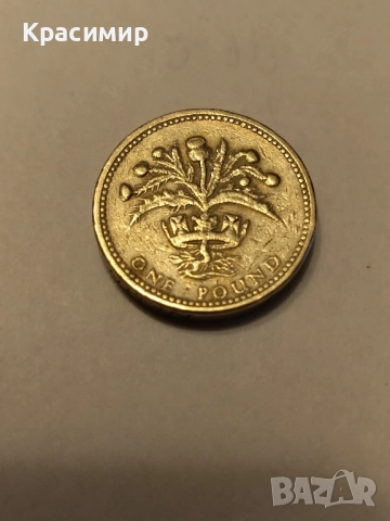 1 паунд Елизабет , снимка 2 - Нумизматика и бонистика - 51852167