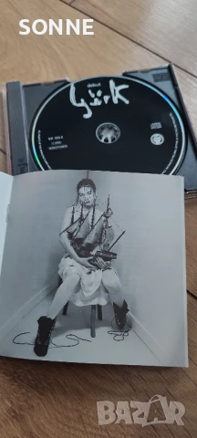 Björk - Debut (CD) , снимка 12 - CD дискове - 50594314