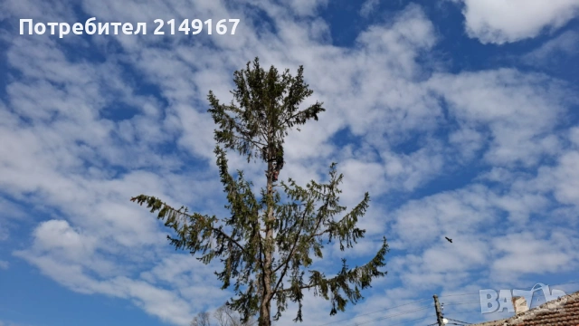 Рязане почистване извозване , снимка 8 - Други услуги - 53743500