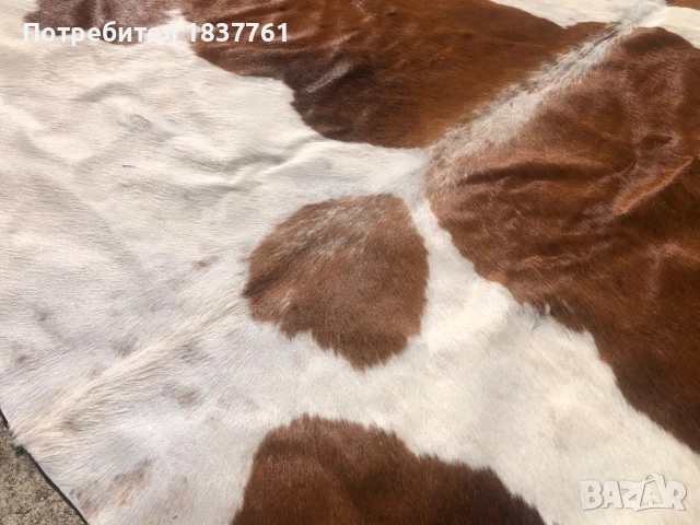 Телешка кожа , снимка 4 - Декорация за дома - 52242930
