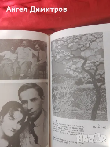 Книга за Николай Райнов 1989 г, снимка 2 - Антикварни и старинни предмети - 49972471