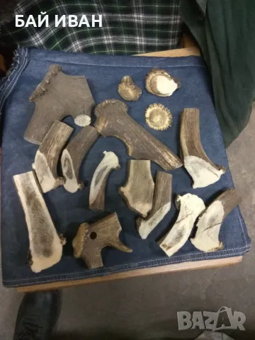 ИЗРЕЗКИ ОТ РОГА , снимка 2 - Декорация за дома - 50041849