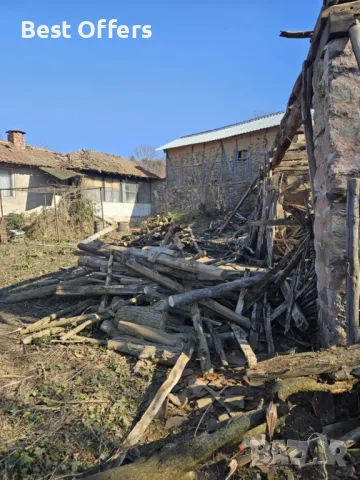 Рязане на опасни дървета, почистване на дворове, кастрене, косене, цепене на дърва – София и региона, снимка 1