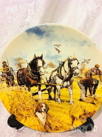 порцеланова чиния за стена , снимка 2 - Декорация за дома - 42551988