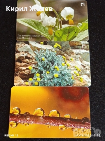 Три фонокарти ХЪРВАТИЯ, ГЕРМАНИЯ стари редки за КОЛЕКЦИЯ ДЕКОРАЦИЯ 50941