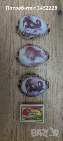 раковини гравирани три броя за ценители , снимка 7 - Декорация за дома - 52665846