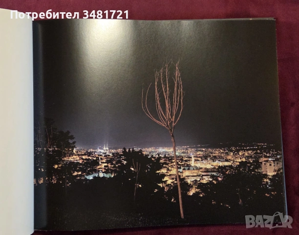 Юрген Нефцгер - поглед в нощта / Jürgen Nefzger. Nocturnes, снимка 4 - Енциклопедии, справочници - 53748644