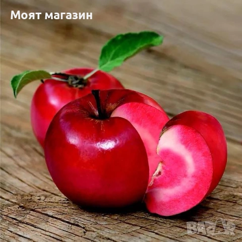 Ябълка Redlove-Sirena, снимка 3 - Градински цветя и растения - 53631761